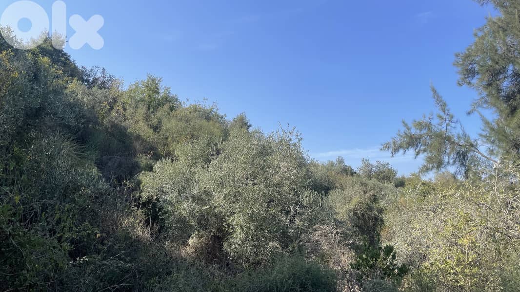 RWB319CA - Land for sale in Chamat Jbeil 6