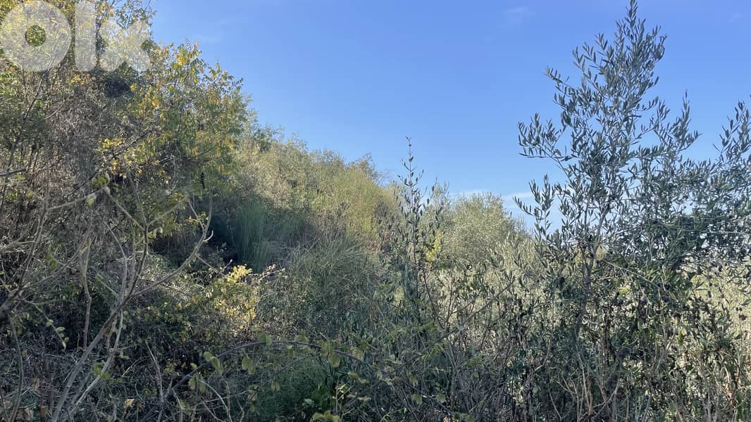 RWB319CA - Land for sale in Chamat Jbeil 7