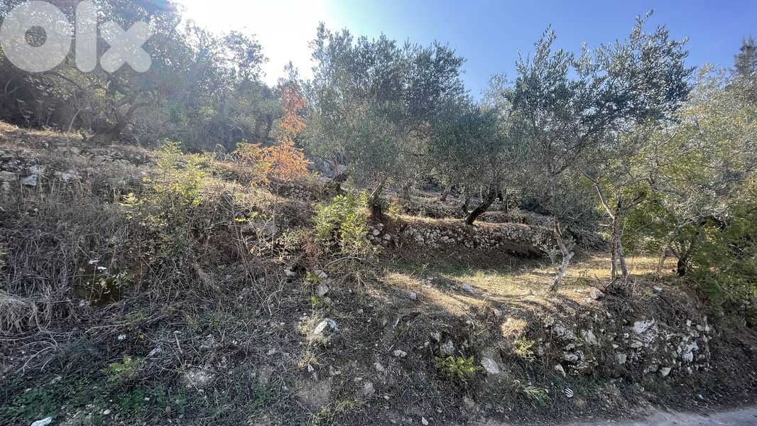 RWB319CA - Land for sale in Chamat Jbeil 12