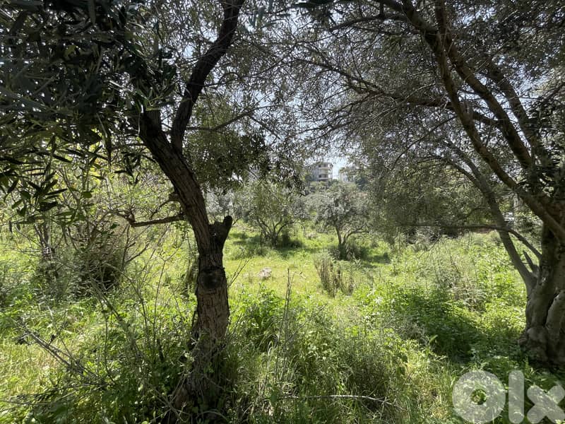 Land for sale in Dbayeh | Sea view ارض للبيع في ضبية | اطلالة البحر 3