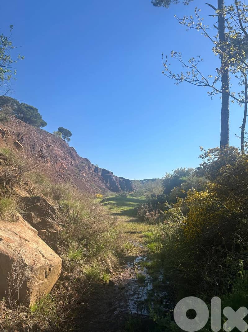 Land For Sale in Baskinta - أرض للبيع في بسكنتا 2