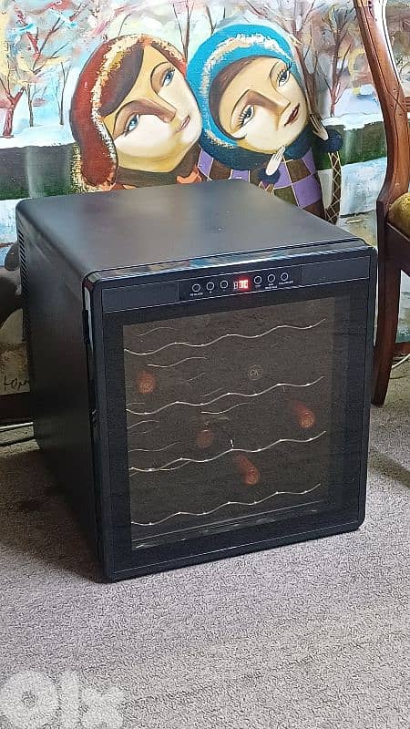 براد للنبيذ 3