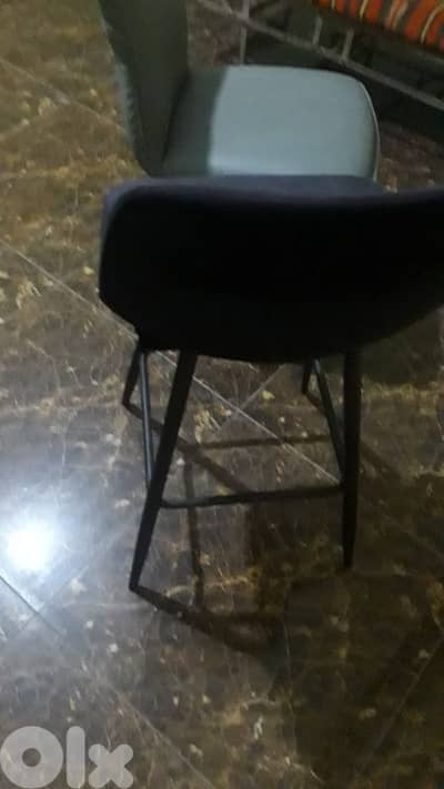 الكورة النخلة