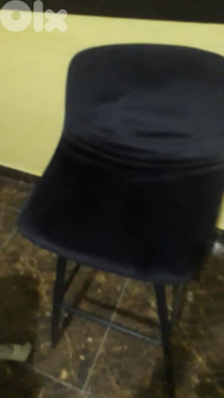 الكورة النخلة 1