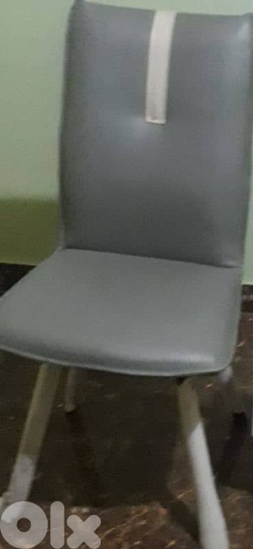 الكورة النخلة 5