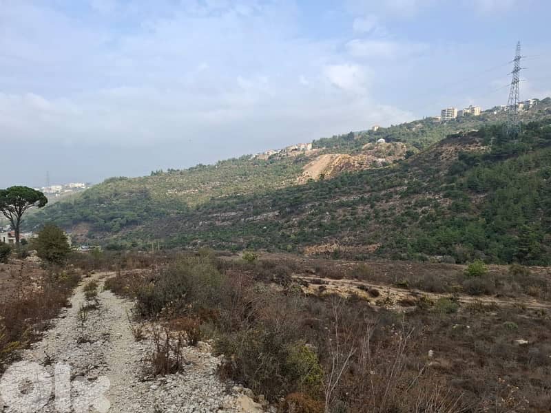 Land 12,300 m2 سرحمول ارض 1