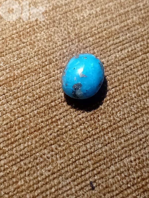 فيروز كرماني ايراني اصلي 2