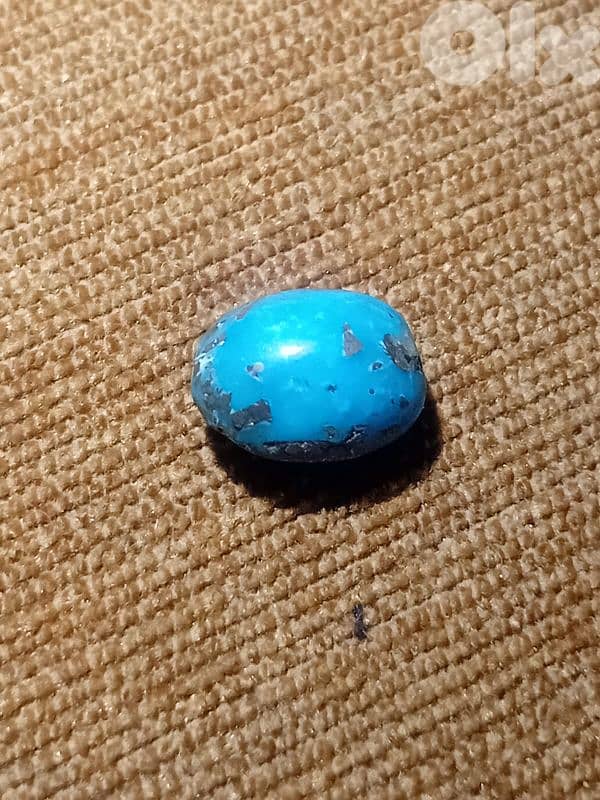 فيروز كرماني ايراني اصلي 3