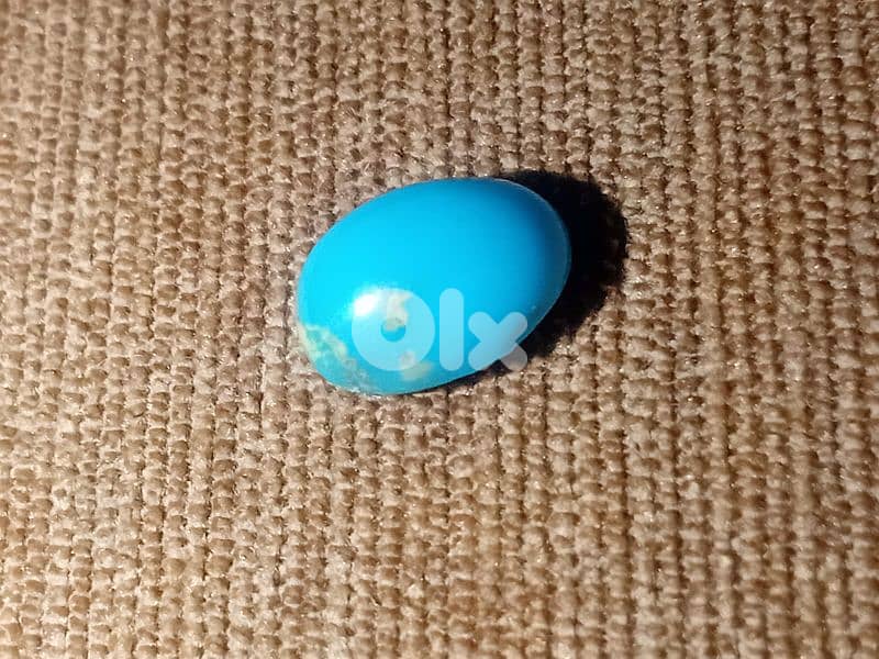 فيروز كرماني ايراني 1