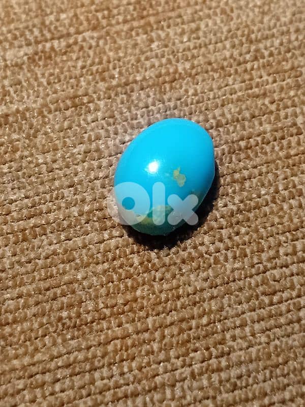 فيروز كرماني ايراني 2