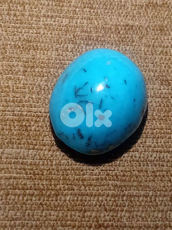 فيروز كرماني ايراني طبيعي 2