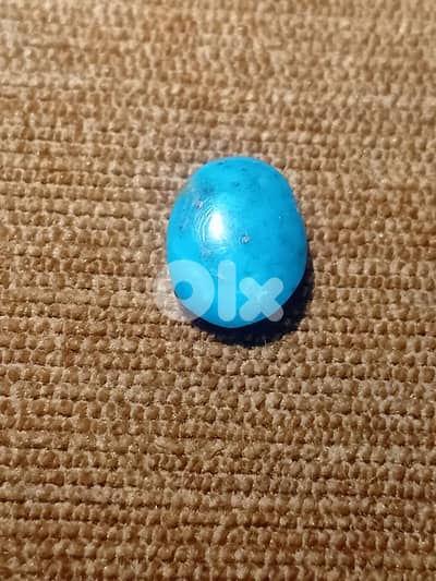 فيروز كرماني ايراني