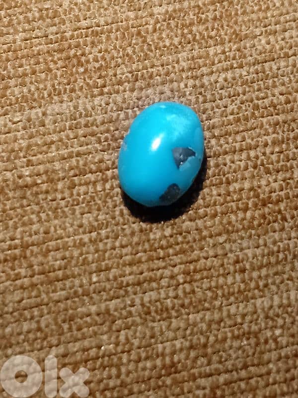 فيروز كرماني ايراني 2