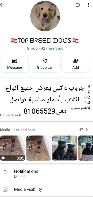 افضل جروب كلاب موجود جميع الانواع