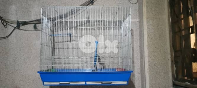 Birds cage