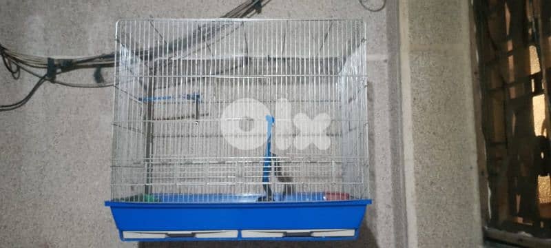 Birds cage 0