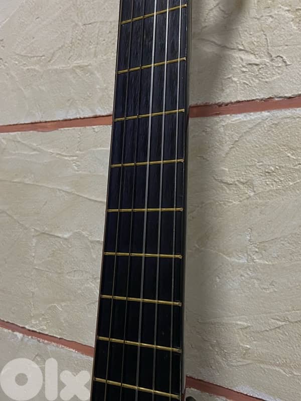 Classical guitar 2