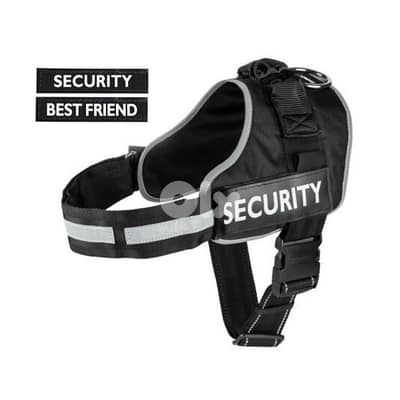 zoofari dog harness