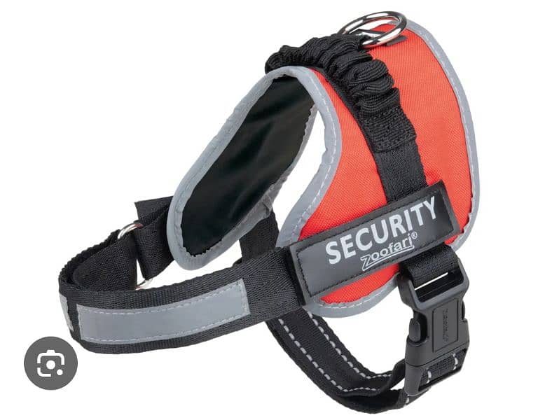 zoofari dog harness 1