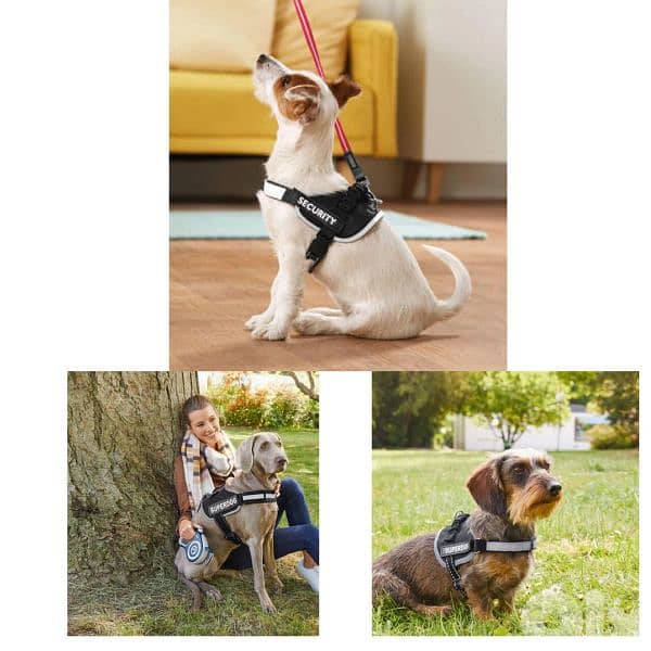 zoofari dog harness 2