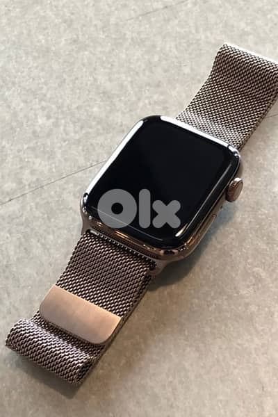 Apple Watch stainless steel ( Rare edition )