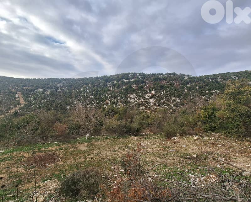 Charming green land own a 14264 m² plot in Hjoula, Jbeil. REF#AB117148 1