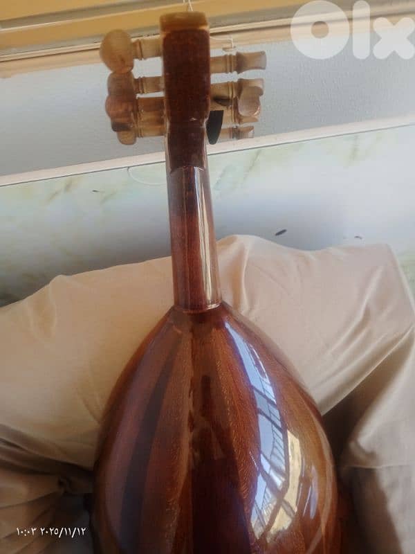 عود  مميز ببغر مميز 3
