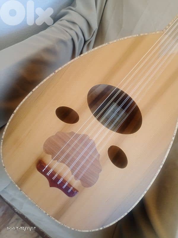 عود  مميز ببغر مميز 4