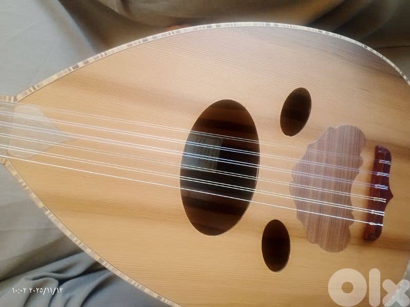 عود  مميز ببغر مميز 5