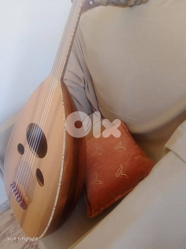 عود  مميز ببغر مميز 6