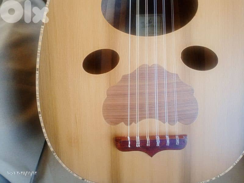 عود  مميز ببغر مميز 8