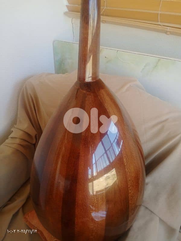 عود  مميز ببغر مميز 12