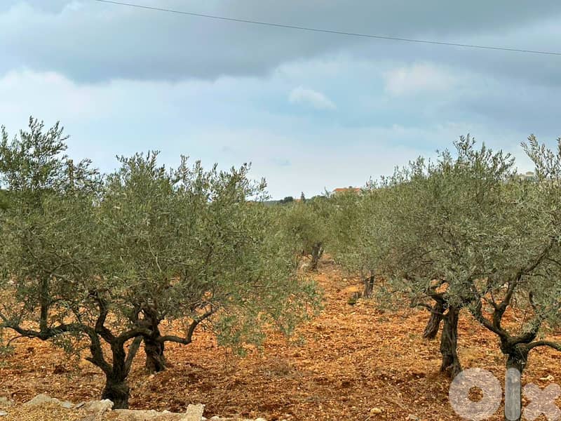 Land for sale in Hamat/ HOT DEAL/ View 0