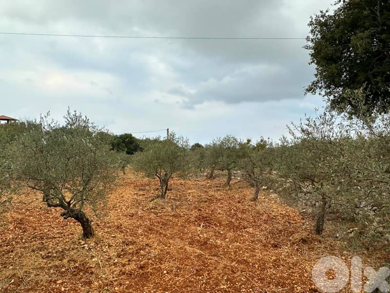 Land for sale in Hamat/ HOT DEAL/ View 1