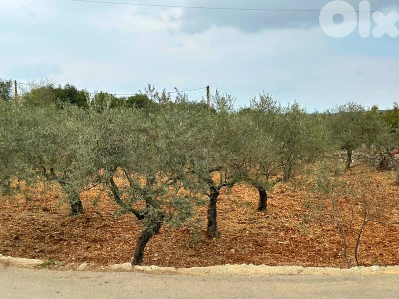 Land for sale in Hamat/ HOT DEAL/ View 2