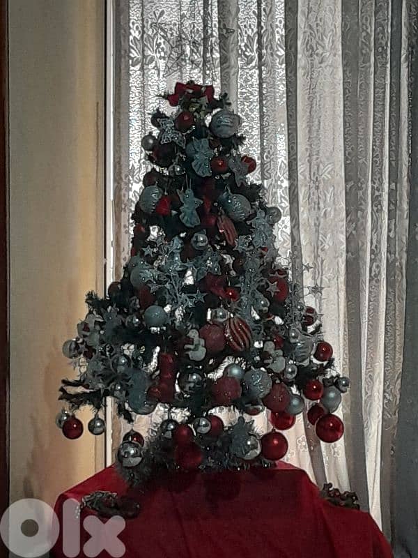 شجرة ميلاد 1