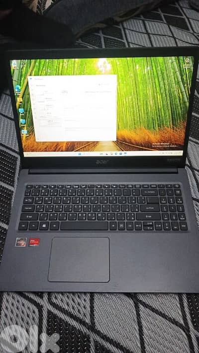 الاوزاعي مسبح ميامي