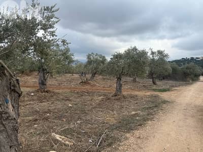 Agricultural land for sale Amioun