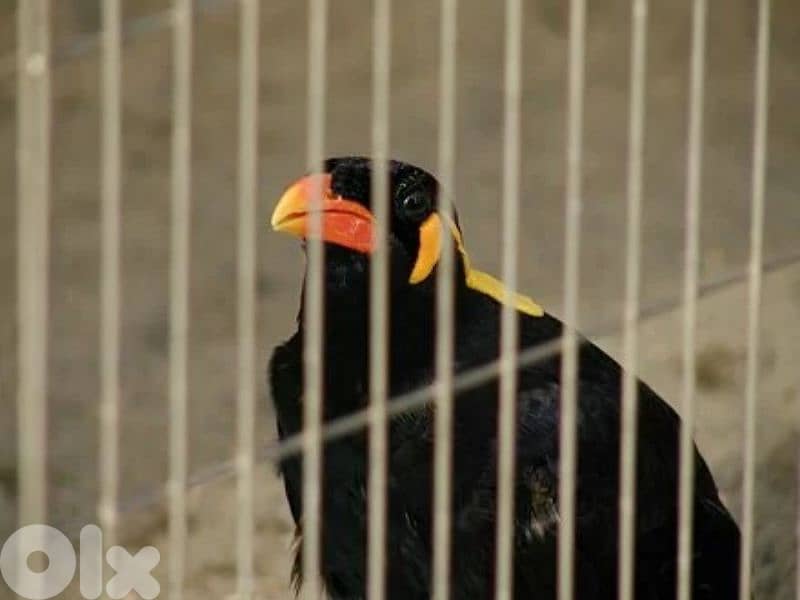 أحلى الأسعار 0