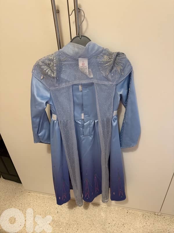 frozen dress 1