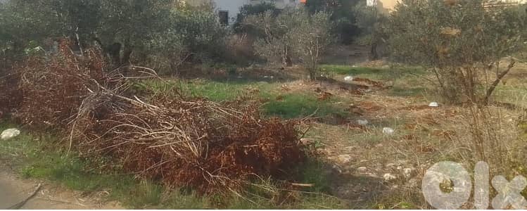 Land for sale in Dedde-Koura أرض للبيع في ددة الكورة