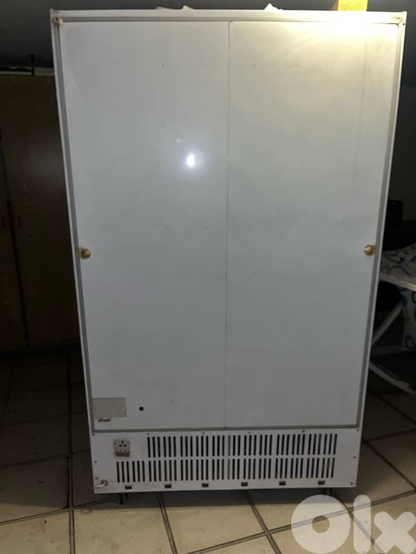 Commercial Display Refrigerator – Cold Cuts / Cheese / Deli Fridge 2