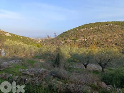 عقار البترون - اصيا