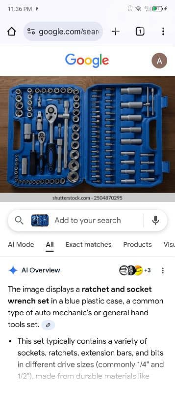 tool box any thing kind find in it