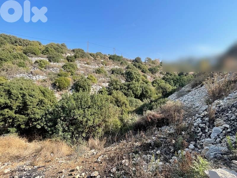 land for sale  ارض للبيع في البترون 1