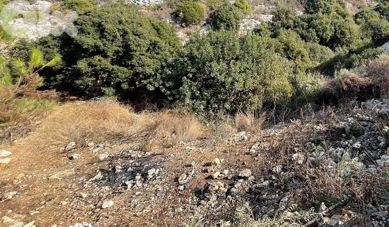 land for sale  ارض للبيع في البترون 2