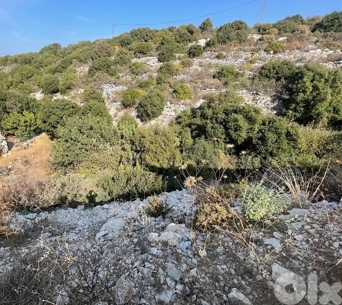 land for sale  ارض للبيع في البترون 3