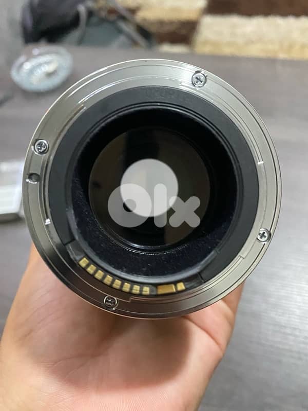 70-200 mm L Usm f/4 with hood bag 4