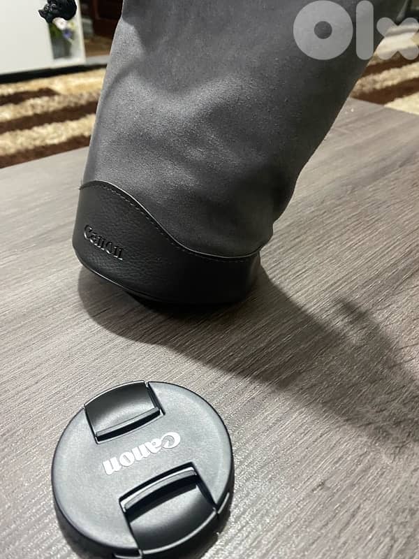 70-200 mm L Usm f/4 with hood bag 5