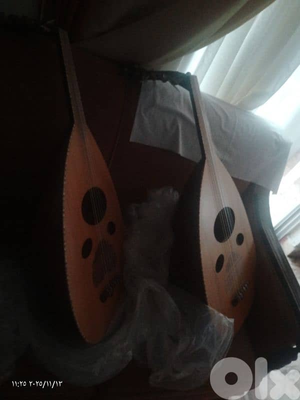 اعواد مميزة بأسعار مناسبة 6